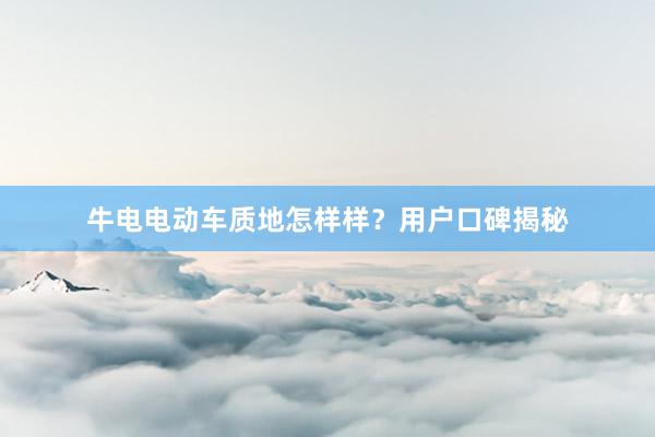 牛电电动车质地怎样样？用户口碑揭秘