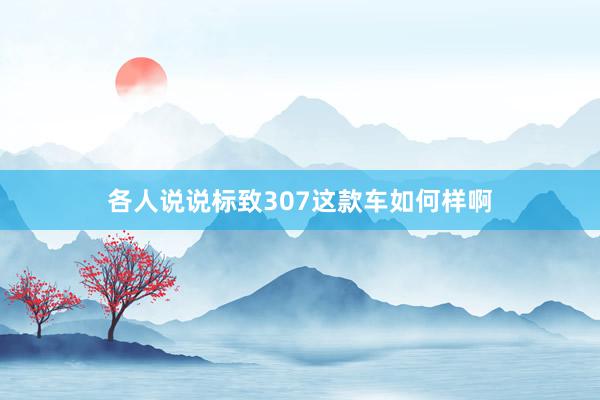 各人说说标致307这款车如何样啊