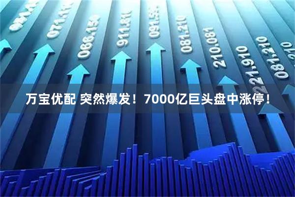 万宝优配 突然爆发！7000亿巨头盘中涨停！