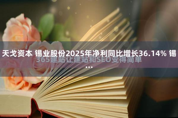 天戈资本 锡业股份2025年净利同比增长36.14% 锡...