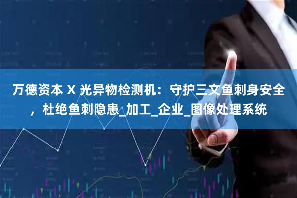 万德资本 X 光异物检测机：守护三文鱼刺身安全，杜绝鱼刺隐患_加工_企业_图像处理系统