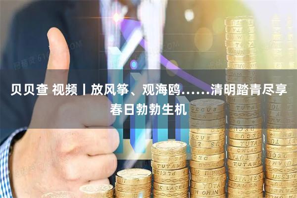贝贝查 视频丨放风筝、观海鸥……清明踏青尽享春日勃勃生机