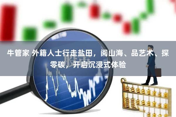 牛管家 外籍人士行走盐田，阅山海、品艺术、探零碳，开启沉浸式体验